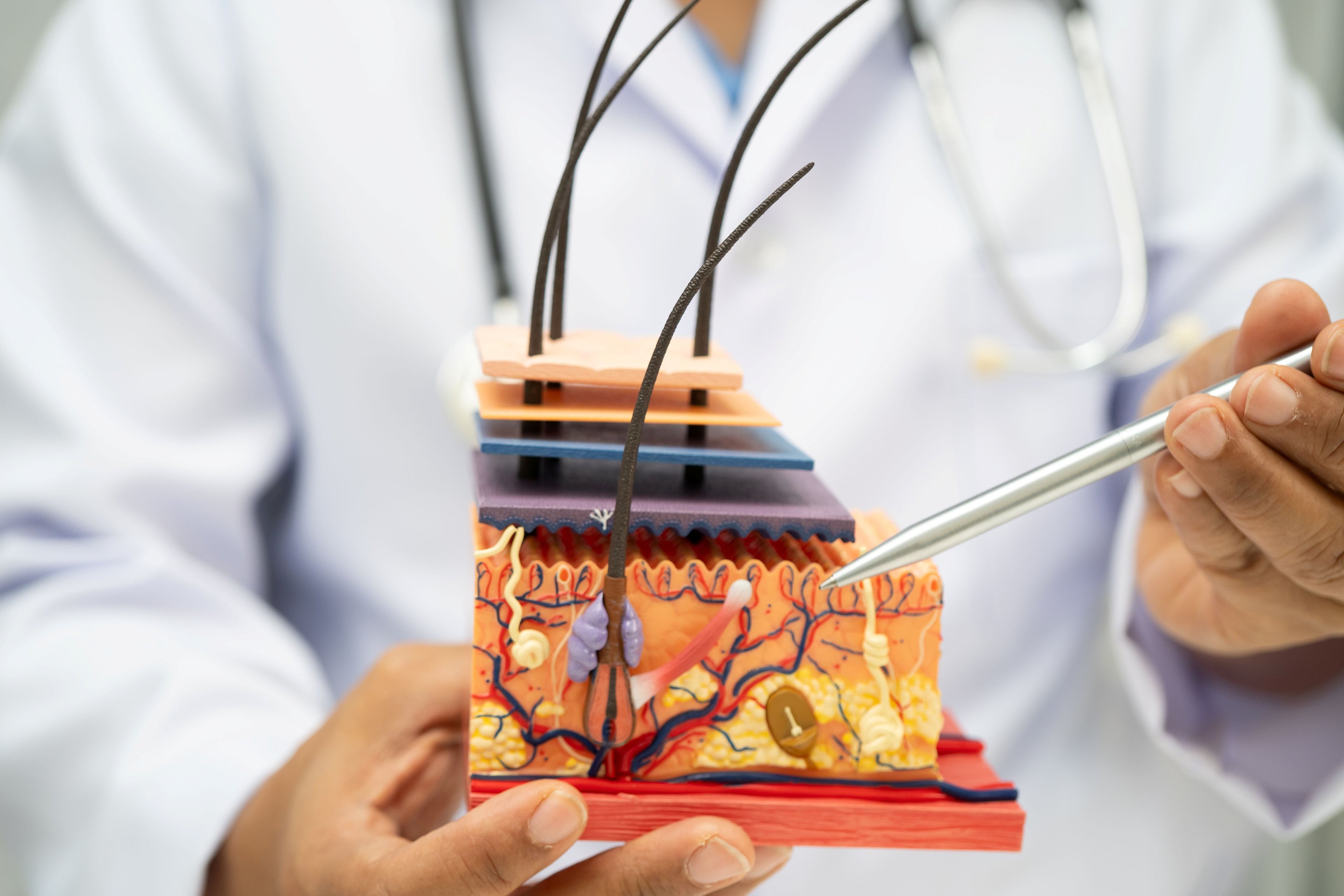 A doctor explains what the skin barrier is