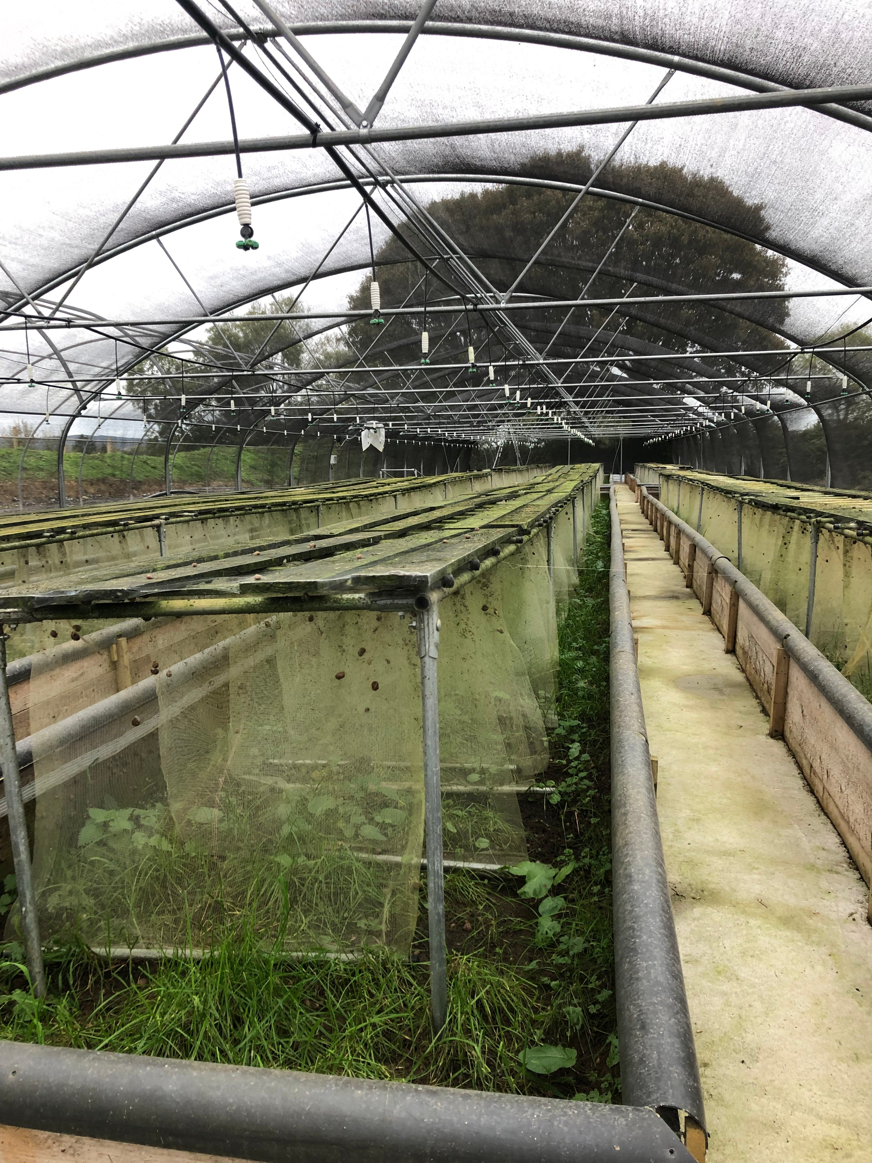 A photo taken inside the snail tunnel.