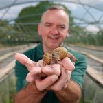 snail farm, Bragan Skincare