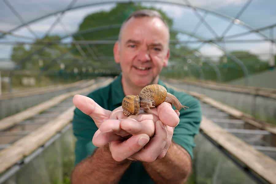 snail farm, Bragan Skincare