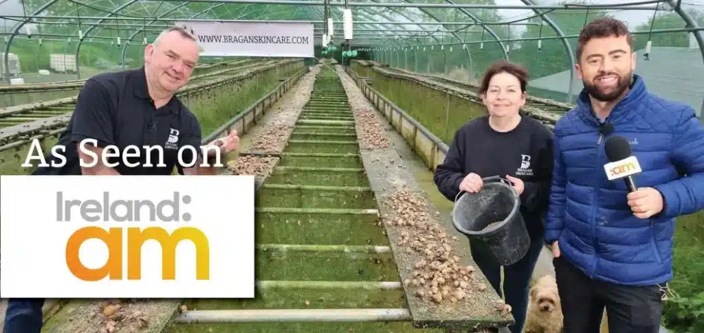 snail farming, As seen on Ireland AM