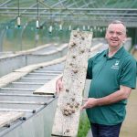 snail farming, snail farm ireland, the snail man, Kieran at the Snail Farm