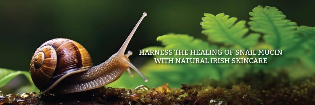 ​snail slime for skin, snail mucin benefits, snail slime moisturizer, best snail cream, snail slime skincare products, The Benefits of Snail Slime for Skin,