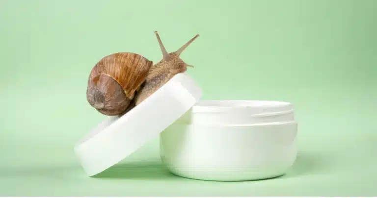 eczema flare up on face, snail slime cream, The Science Behind Snail Mucin, snail skin care, snail mucin benefits,