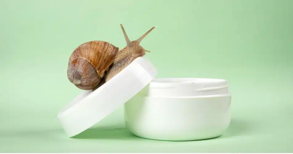 eczema flare up on face, snail slime cream, The Science Behind Snail Mucin, snail skin care, snail mucin benefits,
