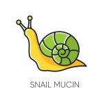 snail mucin skincare,