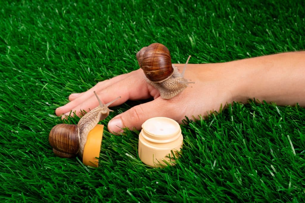 ​snail mucin, snail mucin benefits, snail mucin skincare, snail mucin cream, snail mucin serum, snail mucin skincare,