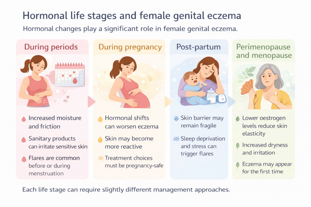 infographic about hormonal life changes and how it affects genital eczema